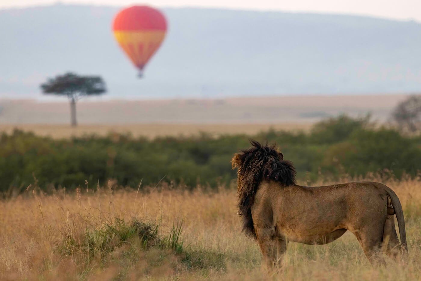 African Dhamma - Travel South Africa